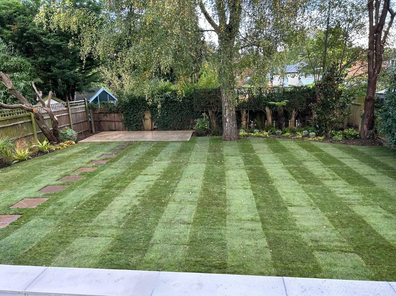 Fresh Lawn Installation